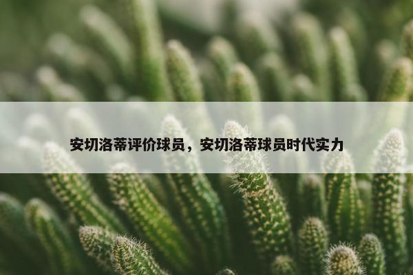 安切洛蒂评价球员，安切洛蒂球员时代实力