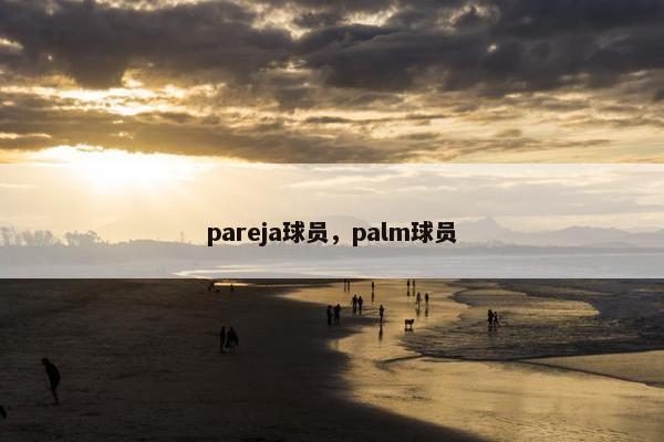 pareja球员，palm球员