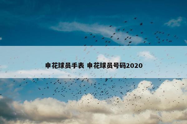 申花球员手表 申花球员号码2020