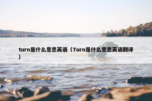 turn是什么意思英语（Turn是什么意思英语翻译）