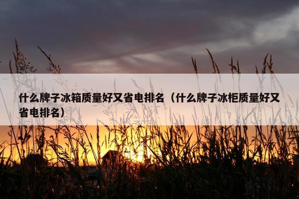 什么牌子冰箱质量好又省电排名（什么牌子冰柜质量好又省电排名）