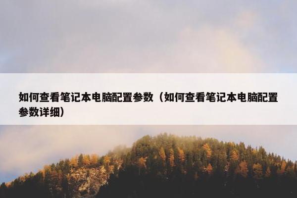 如何查看笔记本电脑配置参数（如何查看笔记本电脑配置参数详细）