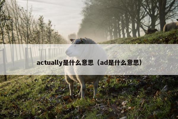 actually是什么意思（ad是什么意思）