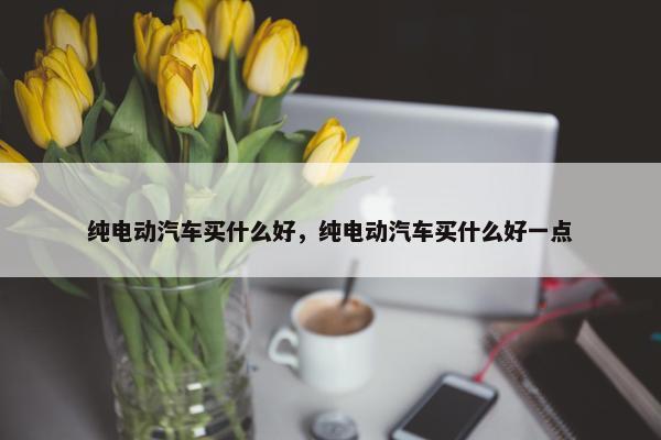 纯电动汽车买什么好，纯电动汽车买什么好一点