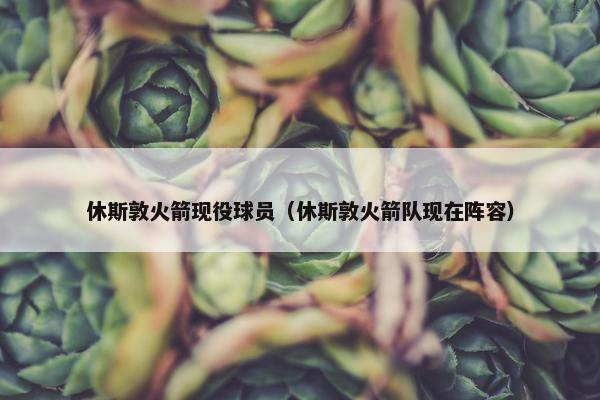 休斯敦火箭现役球员（休斯敦火箭队现在阵容）