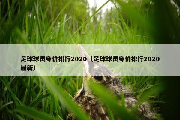 足球球员身价排行2020（足球球员身价排行2020最新）