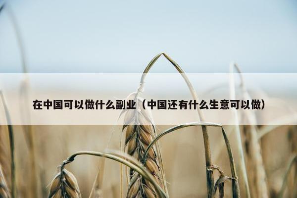 在中国可以做什么副业（中国还有什么生意可以做）