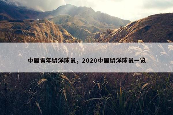 中国青年留洋球员，2020中国留洋球员一览