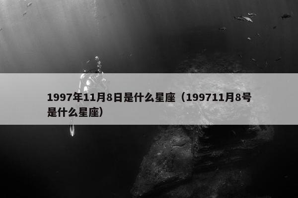 1997年11月8日是什么星座（199711月8号是什么星座）