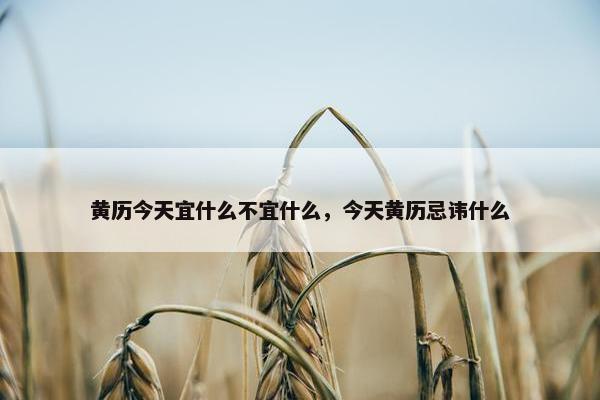 黄历今天宜什么不宜什么，今天黄历忌讳什么