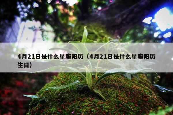 4月21日是什么星座阳历（4月21日是什么星座阳历生日）