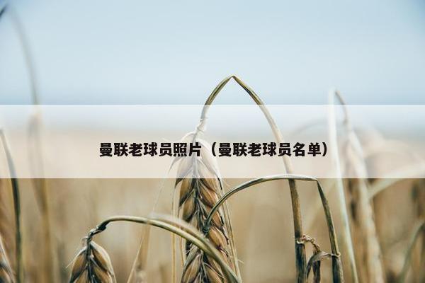 曼联老球员照片（曼联老球员名单）