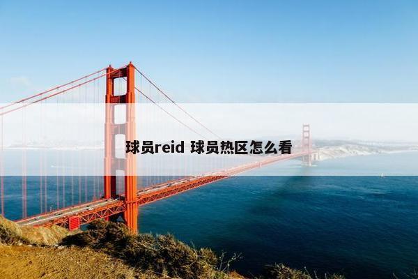 球员reid 球员热区怎么看