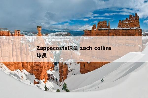 Zappacosta球员 zach collins球员