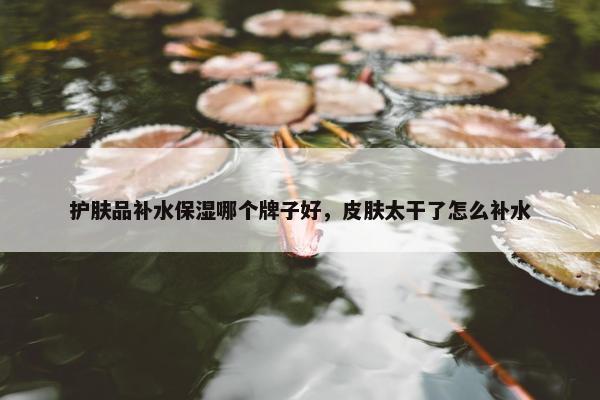 护肤品补水保湿哪个牌子好，皮肤太干了怎么补水