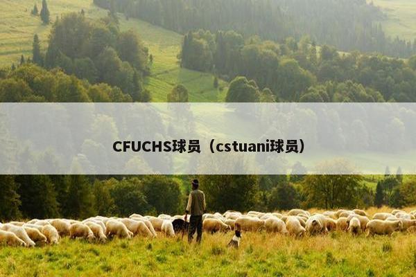 CFUCHS球员（cstuani球员）