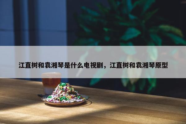 江直树和袁湘琴是什么电视剧，江直树和袁湘琴原型