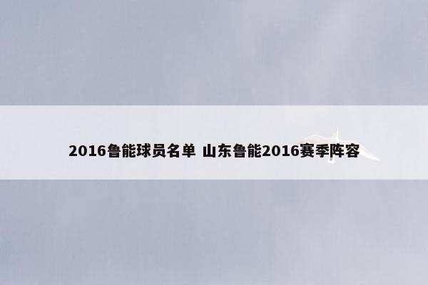 2016鲁能球员名单 山东鲁能2016赛季阵容