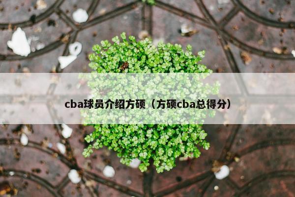 cba球员介绍方硕（方硕cba总得分）