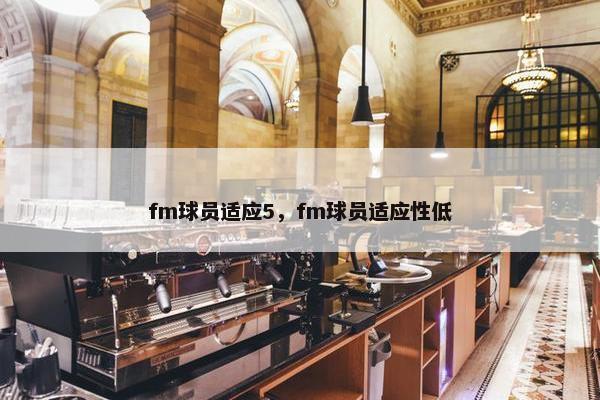 fm球员适应5，fm球员适应性低