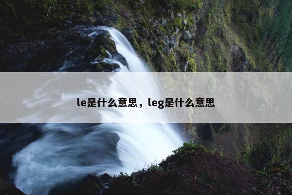 le是什么意思，leg是什么意思