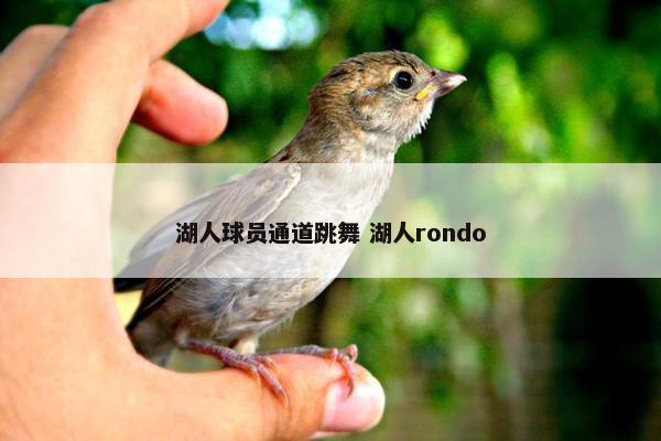 湖人球员通道跳舞 湖人rondo