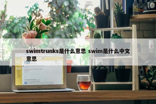 swimtrunks是什么意思 swim是什么中文意思