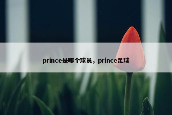 prince是哪个球员，prince足球