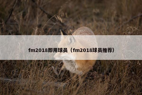 fm2018即用球员（fm2018球员推荐）