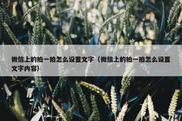 微信上的拍一拍怎么设置文字（微信上的拍一拍怎么设置文字内容）