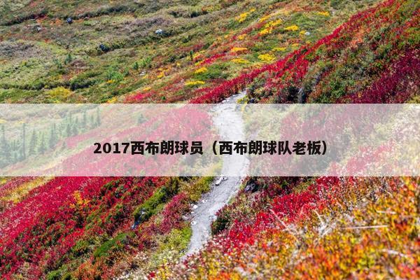 2017西布朗球员（西布朗球队老板）