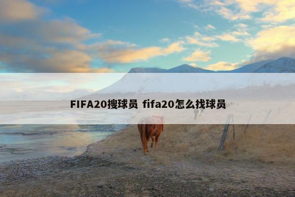 FIFA20搜球员 fifa20怎么找球员