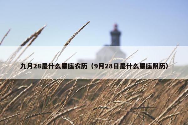 九月28是什么星座农历（9月28日是什么星座阴历）