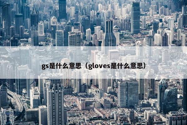 gs是什么意思（gloves是什么意思）