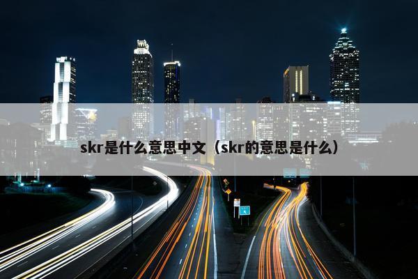 skr是什么意思中文（skr的意思是什么）