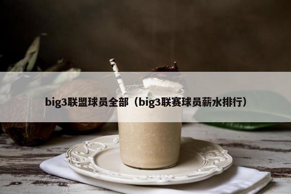 big3联盟球员全部（big3联赛球员薪水排行）