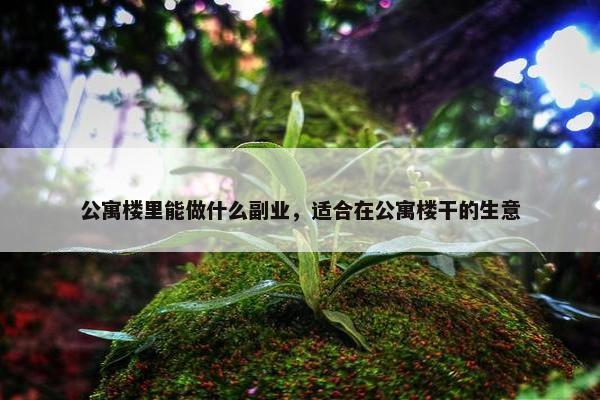 公寓楼里能做什么副业，适合在公寓楼干的生意