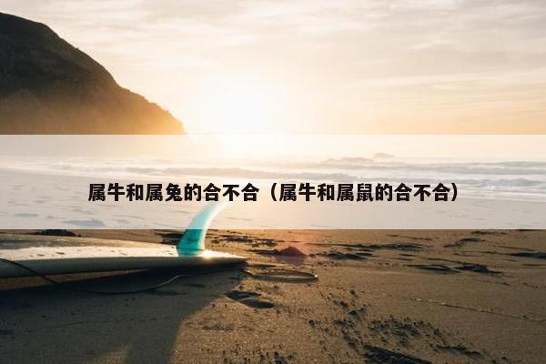 属牛和属兔的合不合（属牛和属鼠的合不合）