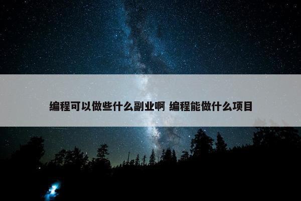 编程可以做些什么副业啊 编程能做什么项目