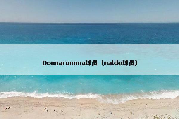 Donnarumma球员（naldo球员）