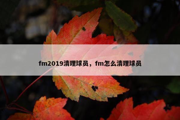 fm2019清理球员，fm怎么清理球员