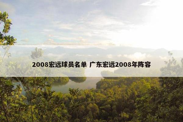 2008宏远球员名单 广东宏远2008年阵容