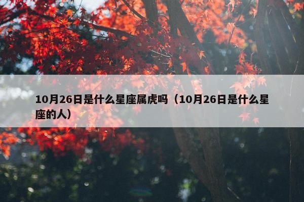 10月26日是什么星座属虎吗（10月26日是什么星座的人）