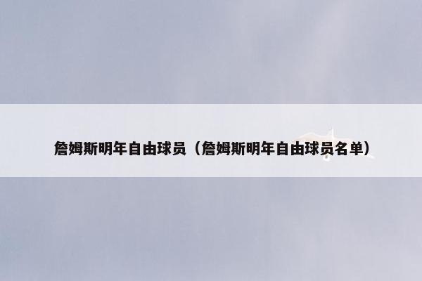 詹姆斯明年自由球员（詹姆斯明年自由球员名单）