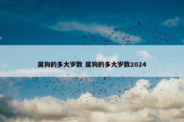 属狗的多大岁数 属狗的多大岁数2024