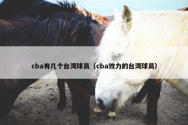 cba有几个台湾球员（cba效力的台湾球员）