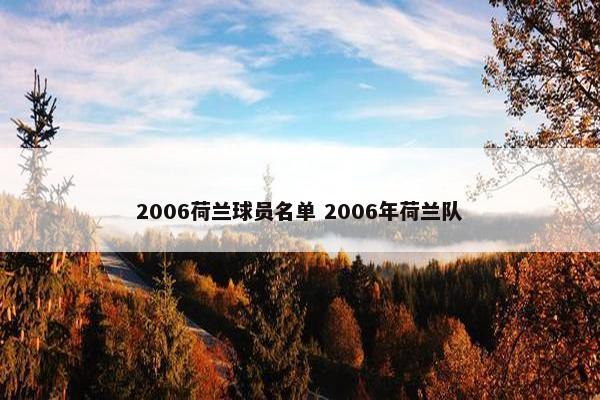 2006荷兰球员名单 2006年荷兰队