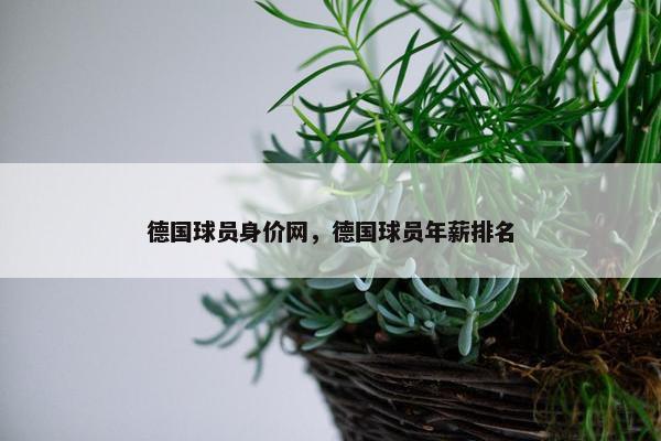 德国球员身价网，德国球员年薪排名