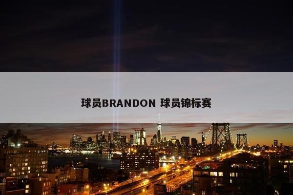 球员BRANDON 球员锦标赛