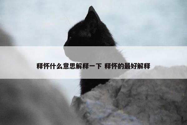 释怀什么意思解释一下 释怀的最好解释